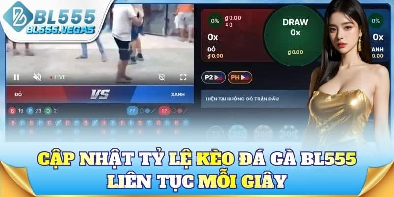 Cập nhật tỷ lệ kèo đá gà BL555 liên tục mỗi giây